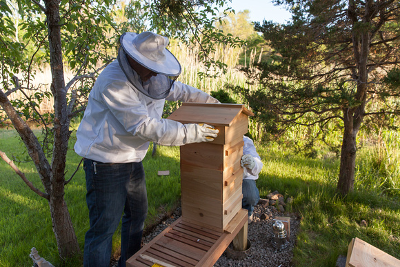 Adding the new hive box to the bottom.